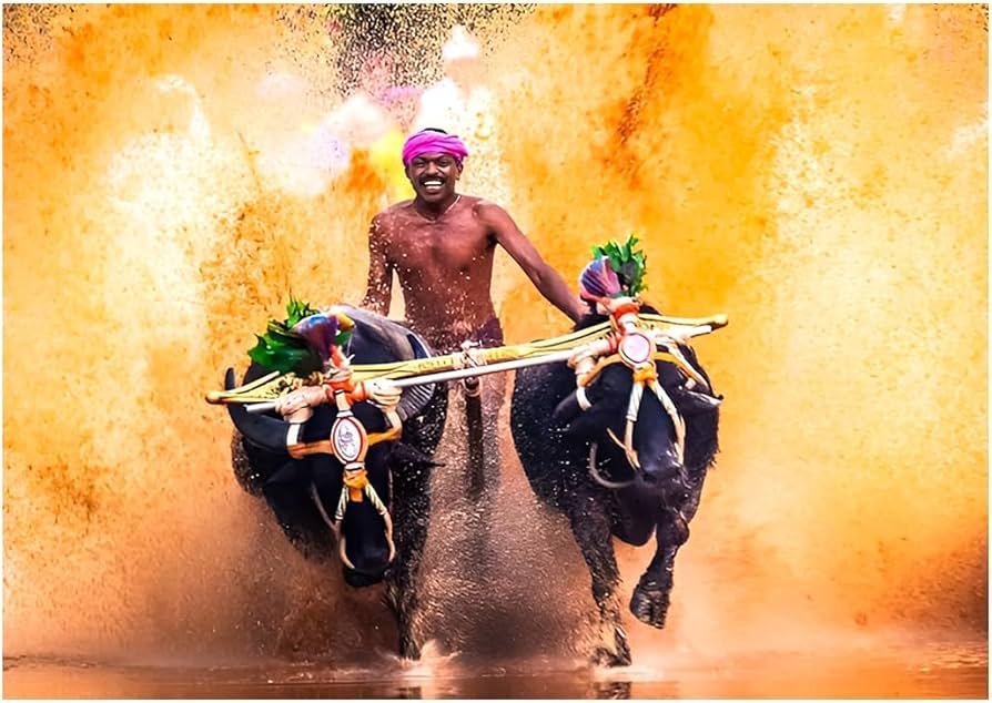 Mangalore tarvels
